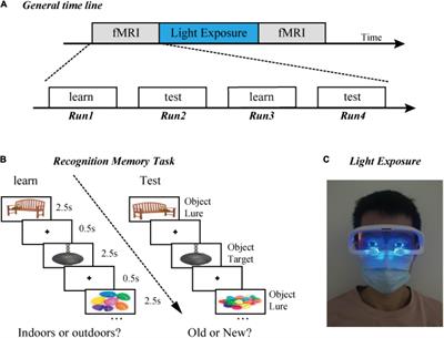 40-Hz Blue Light Changes Hippocampal Activation and Functional Connectivity Underlying Recognition Memory